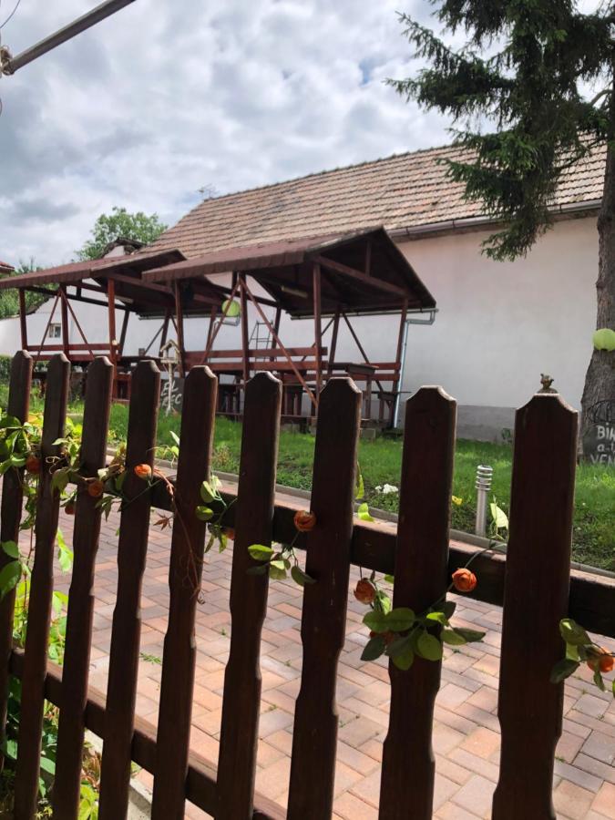 Pensiunea El Greco Axente Sever Экстерьер фото